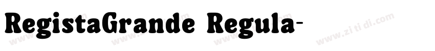 RegistaGrande Regula字体转换